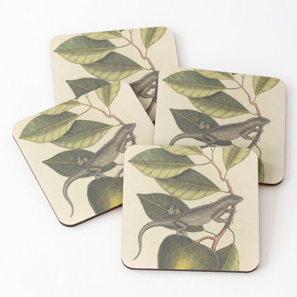 Item preview, Mark Catesby Iguana Botanical Etching, 18th Century designed and sold by Natural History Prints.