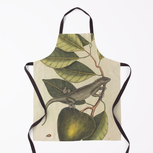 Item preview, Mark Catesby Iguana Botanical Etching, 18th Century designed and sold by Natural History Prints.