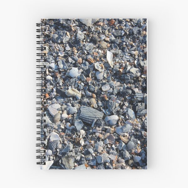 Item preview, Shells on a South Carolina beach designed and sold by Ptygura01.
