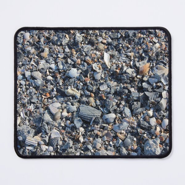 Item preview, Shells on a South Carolina beach designed and sold by Ptygura01.