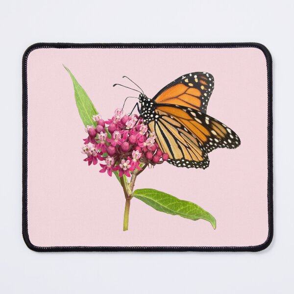 Item preview, Monarch on Milkweed  designed and sold by DandelionDays.