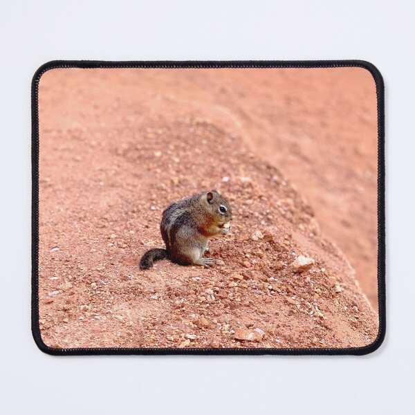 Item preview, chipmunk at bryce canyon designed and sold by yoonjae.