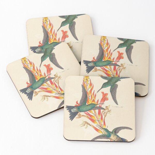 Item preview, Hummingbirds Vintage Botanical Print designed and sold by Natural History Prints.