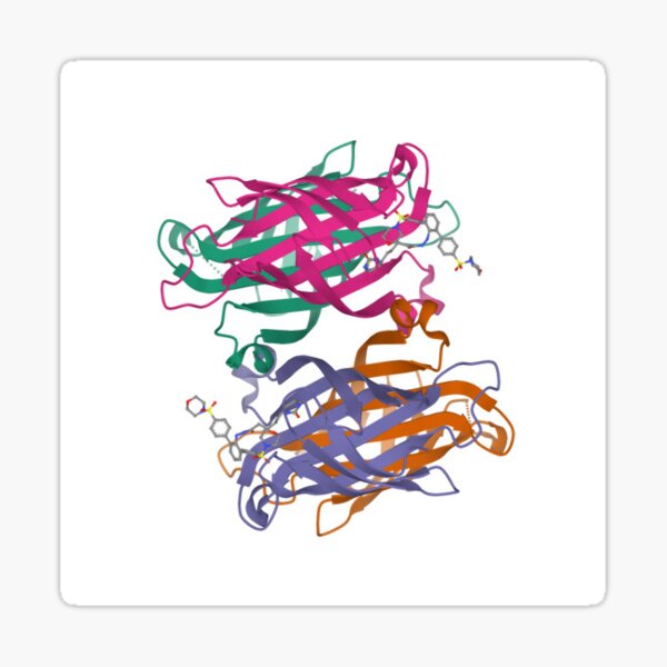 LOVE-HATE proteins Sticker