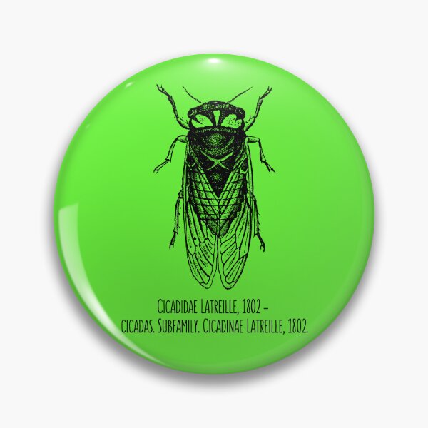 Item preview, Cicada Scientific Family Black Line Drawing Modern Design designed and sold by EarthArtDesigns.