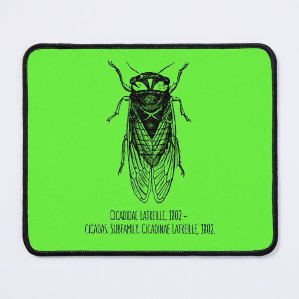 Item preview, Cicada Scientific Family Black Line Drawing Modern Design designed and sold by EarthArtDesigns.