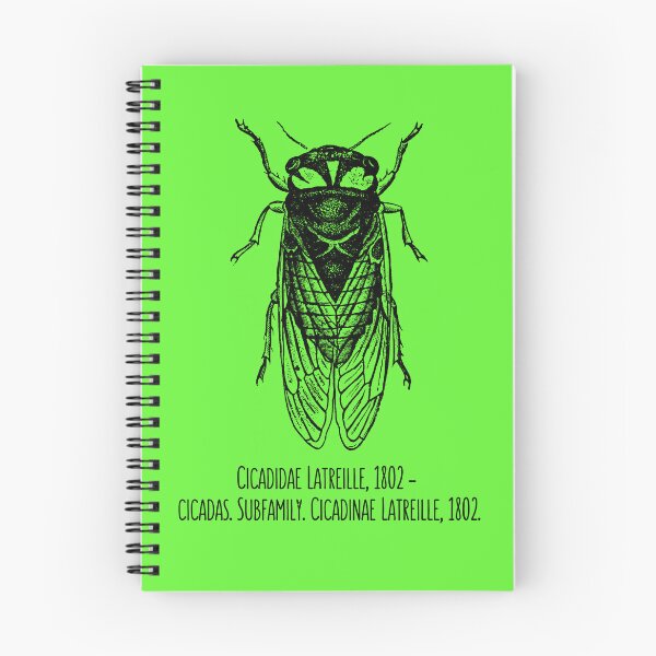 Item preview, Cicada Scientific Family Black Line Drawing Modern Design designed and sold by EarthArtDesigns.