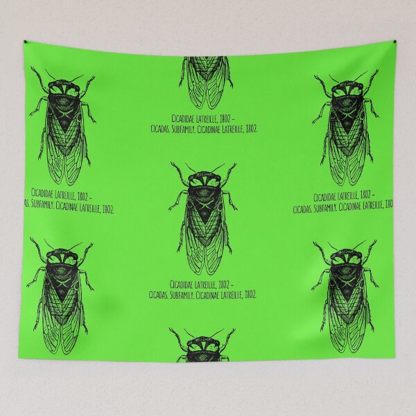 Item preview, Cicada Scientific Family Black Line Drawing Modern Design designed and sold by EarthArtDesigns.