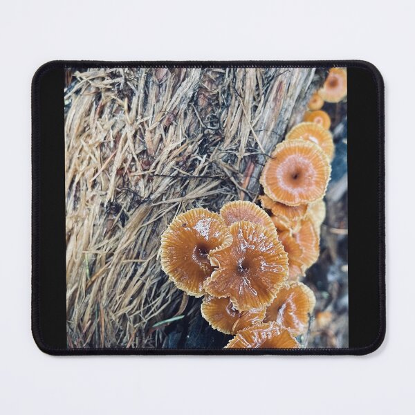 Item preview, Woody Mushrooms designed and sold by Kelly O'Neill.