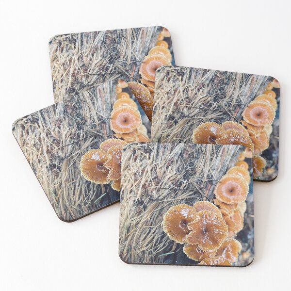Item preview, Woody Mushrooms designed and sold by Kelly O'Neill.
