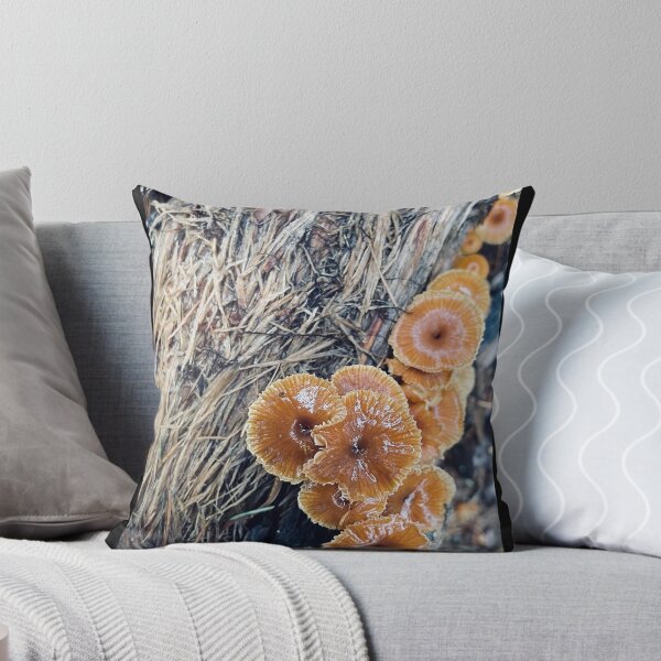 Item preview, Woody Mushrooms designed and sold by Kelly O'Neill.