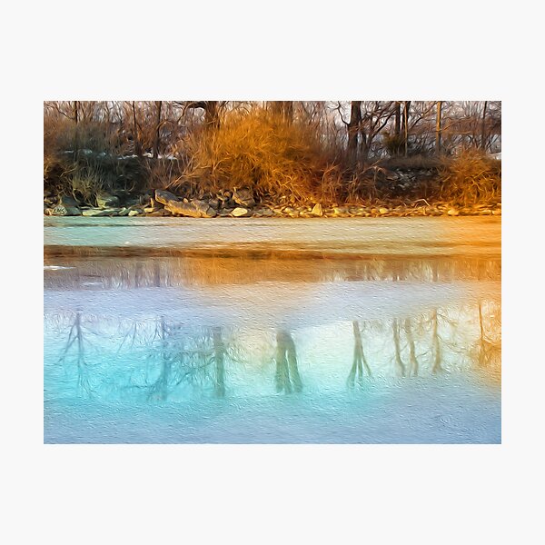 Almost Spring Photographic Print