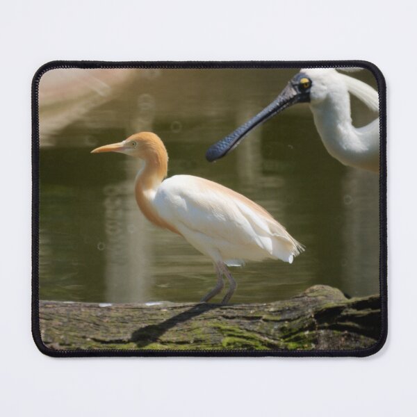 Item preview, Waders designed and sold by D-GaP.