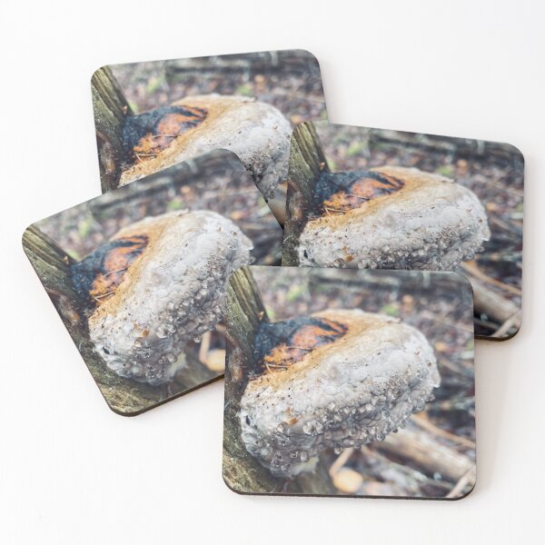 Item preview, Polypore designed and sold by Kelly O'Neill.