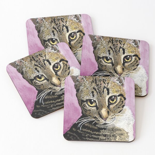Item preview, Intense kitten with smolder designed and sold by Ty Meier.