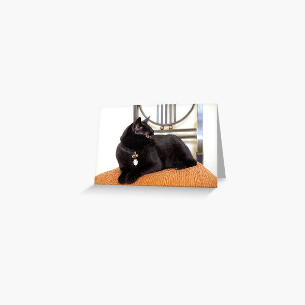 Black Cat, Orange Chair Greeting Card