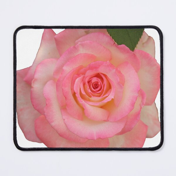 Item preview, Pink Rose Pretty Flower designed and sold by Jessica Weiss.