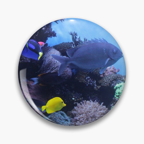 Item preview, Aquarium Fish for Fish Lovers designed and sold by Jessica Weiss.