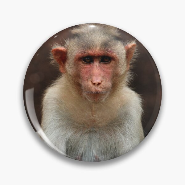 Item preview, Bonnet Macaque Monkey designed and sold by VgBingi.