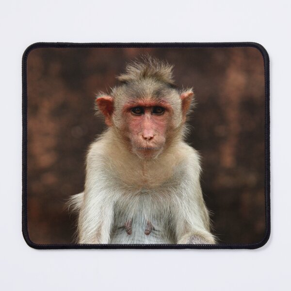 Item preview, Bonnet Macaque Monkey designed and sold by VgBingi.