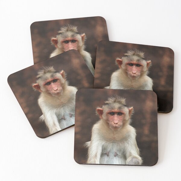 Item preview, Bonnet Macaque Monkey designed and sold by VgBingi.