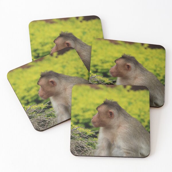Item preview, Bonnet Macaque Monkey designed and sold by VgBingi.