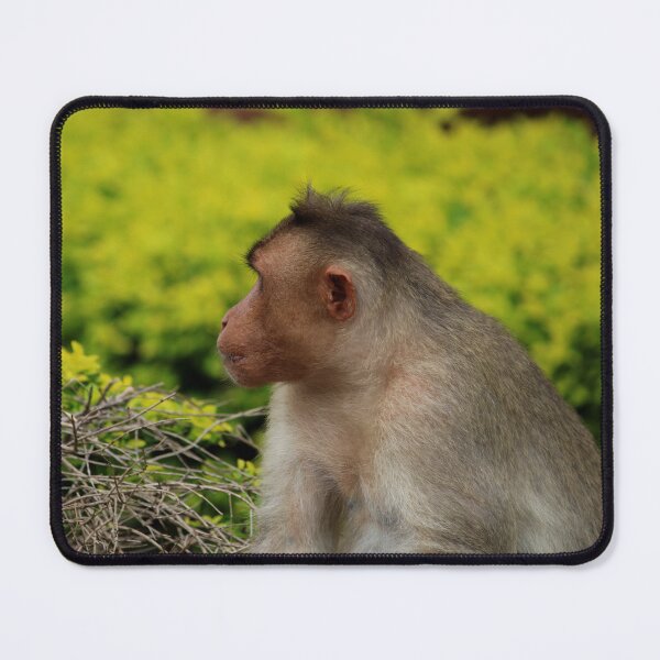 Item preview, Bonnet Macaque Monkey designed and sold by VgBingi.
