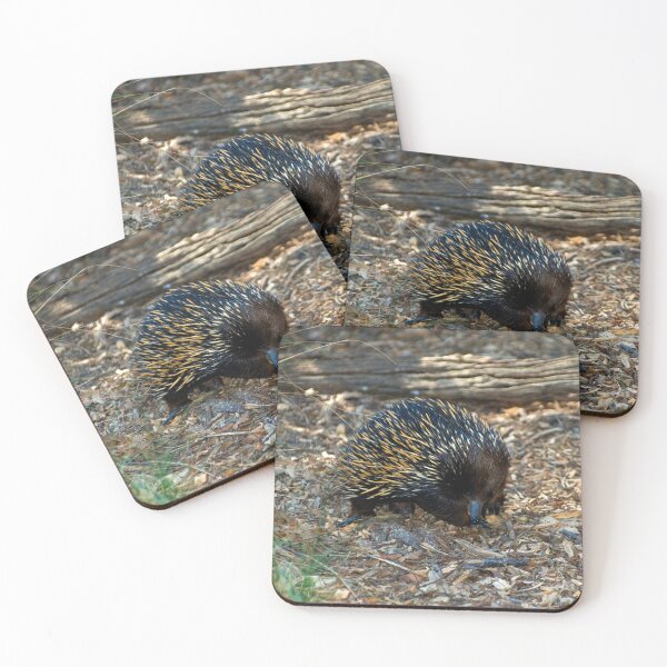 Item preview, ECHIDNA designed and sold by Rick Knowles Photo Art.