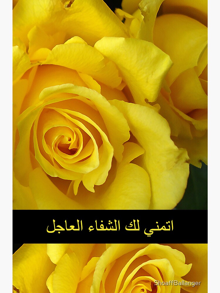 get-well-wishes-in-arabic-yellow-roses-sticker-for-sale-by