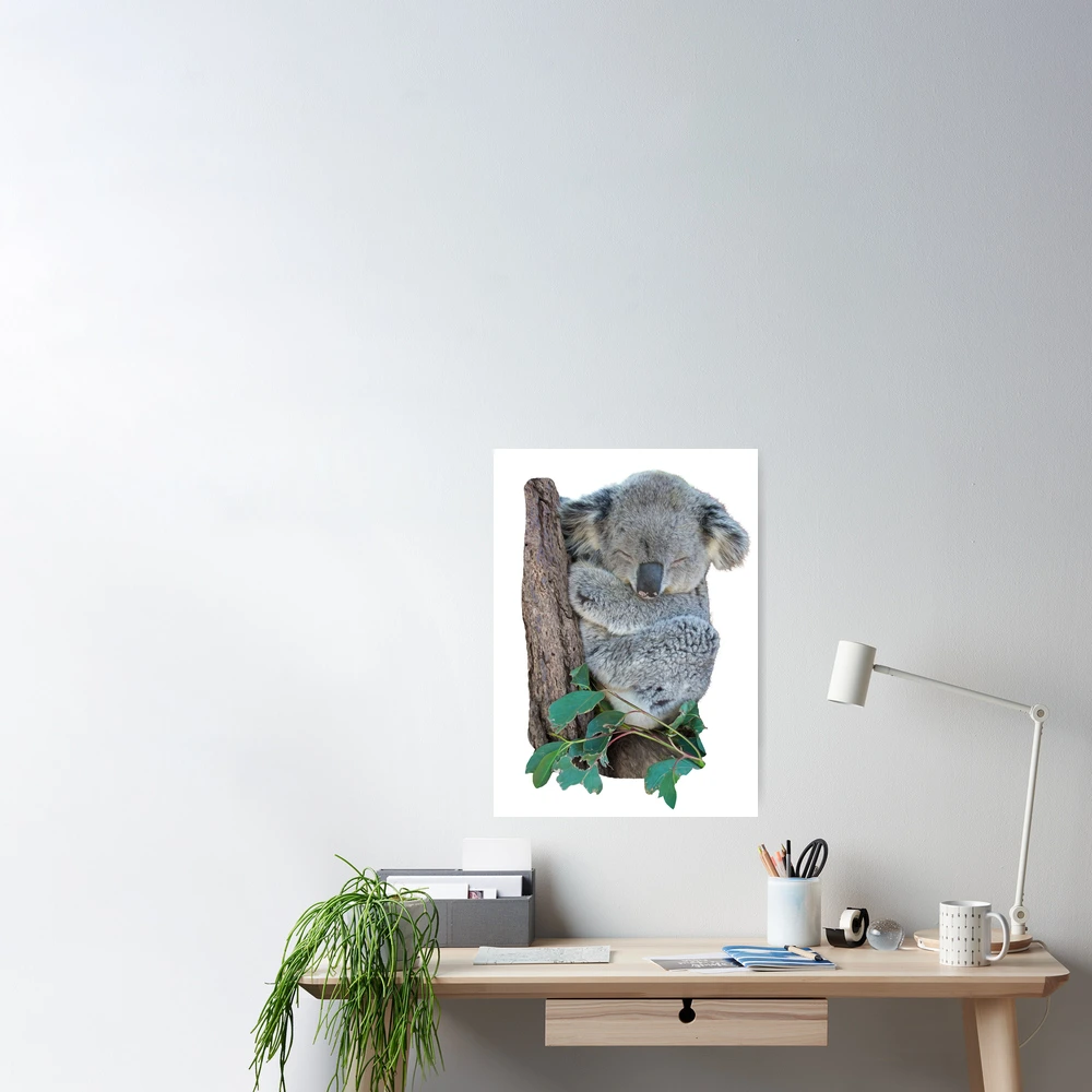 Small Cute Koala Sleeping on a Tree Poster for Sale by CritterSticker