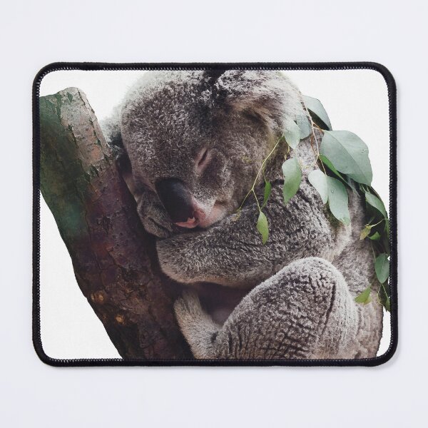 Item preview, Sleepy Koala on a Tree Branch designed and sold by CritterSticker.