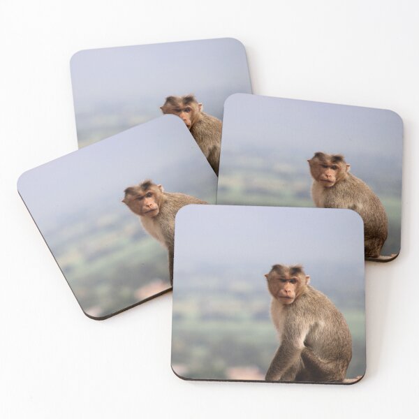 Item preview, Bonnet Macaque Monkey designed and sold by VgBingi.