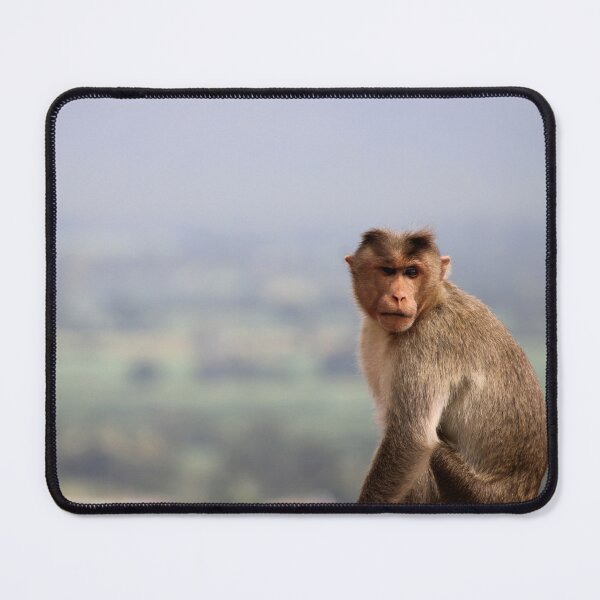 Item preview, Bonnet Macaque Monkey designed and sold by VgBingi.