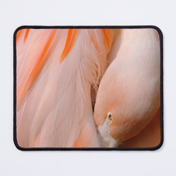Item preview, 'Flamingo grace' designed and sold by MARYMAXMAC.