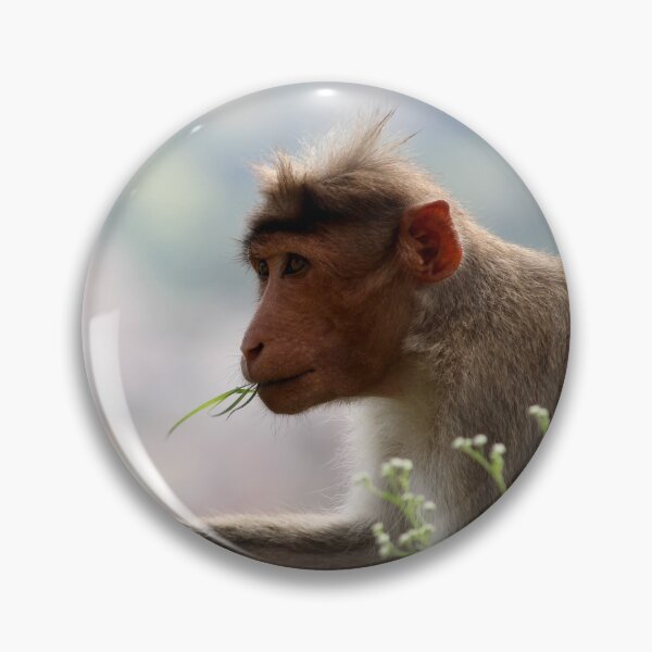 Item preview, Bonnet Macaque Monkey designed and sold by VgBingi.