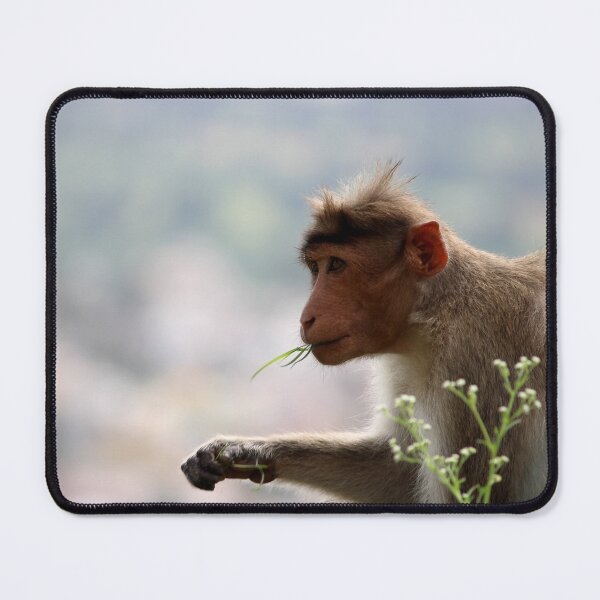 Item preview, Bonnet Macaque Monkey designed and sold by VgBingi.
