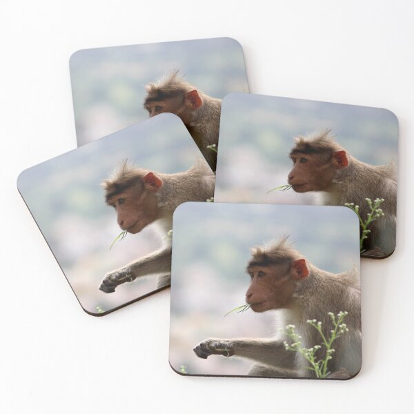 Item preview, Bonnet Macaque Monkey designed and sold by VgBingi.