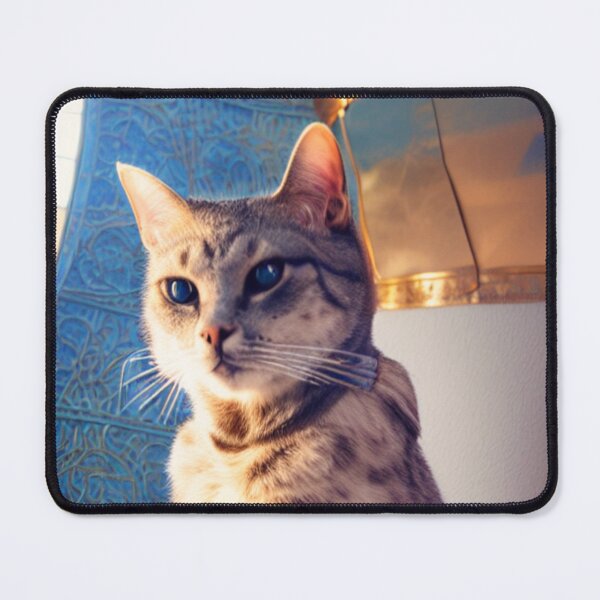 Item preview, Knight cat: Poncharello designed and sold by Dendros-Studio.