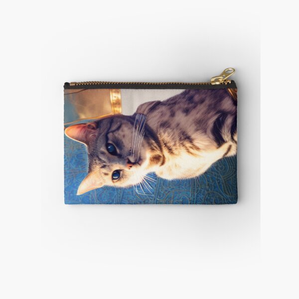 Item preview, Knight cat: Poncharello designed and sold by Dendros-Studio.