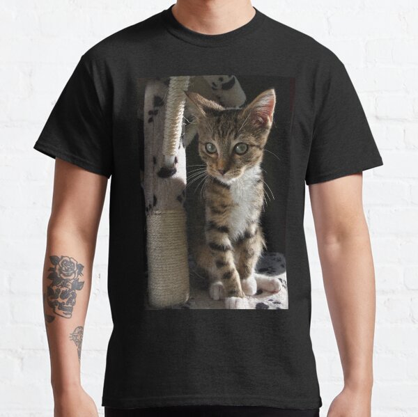 Kitten playing on cat tree Classic T-Shirt