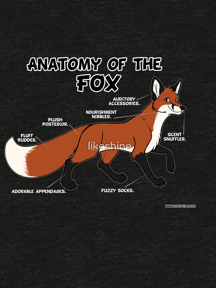 "Anatomy of the Fox - red" T-shirt by likeshine | Redbubble