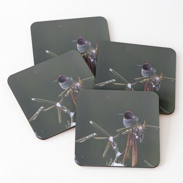 Item preview, Anna's Hummingbird Resting designed and sold by Joel Hunter.