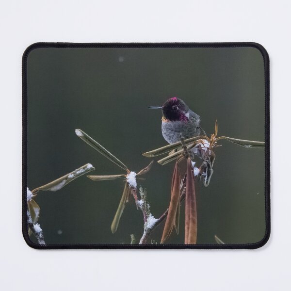 Item preview, Anna's Hummingbird Resting designed and sold by Joel Hunter.