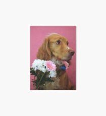 Pluto with flowers Art Board