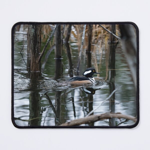 Item preview, Hooded Merganser designed and sold by Joel Hunter.