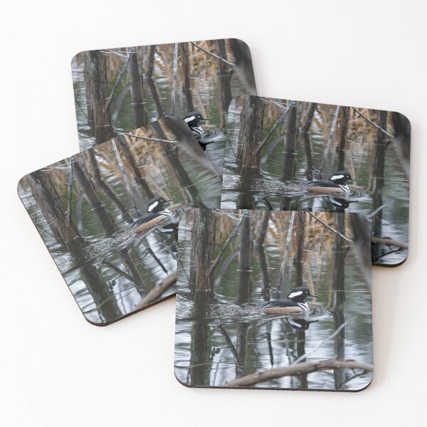 Item preview, Hooded Merganser designed and sold by Joel Hunter.