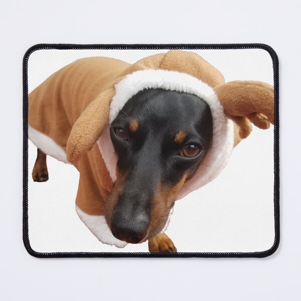 Item preview, Cute Dog in Costume Funny Dachshund Reindeer designed and sold by Jessica Weiss.
