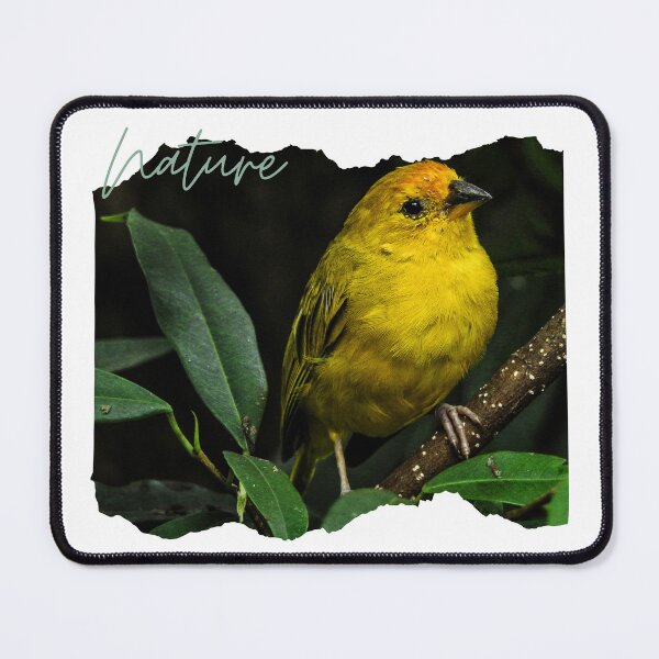 Item preview, Yellow Bird designed and sold by annaaires.