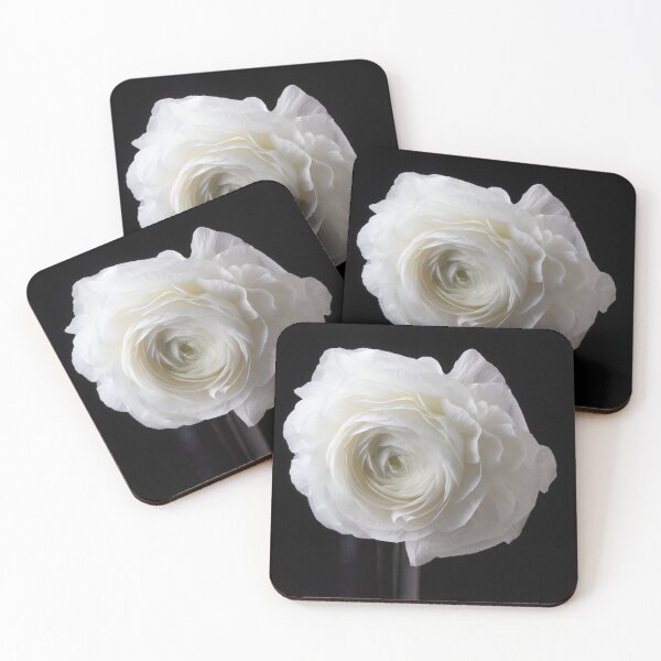 Item preview, Beautiful White Ranunculus designed and sold by Garry Gay.