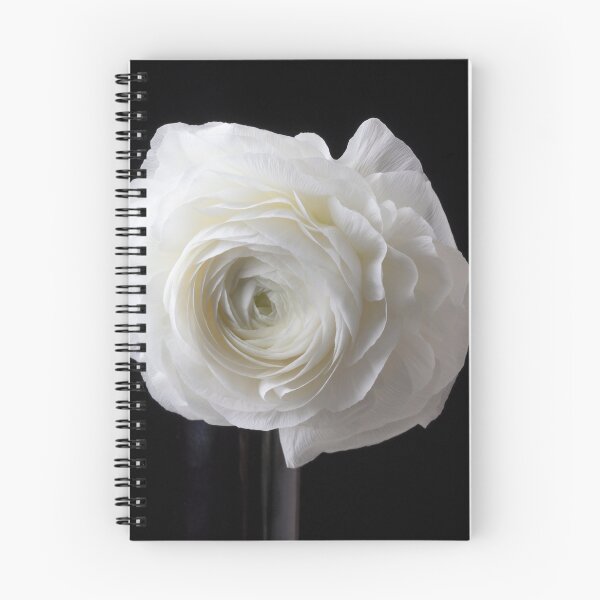 Item preview, Beautiful White Ranunculus designed and sold by Garry Gay.